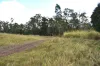 342 Mungar Road, Yengarie, Qld 4650-Image