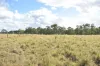 342 Mungar Road, Yengarie, Qld 4650-Image