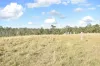 342 Mungar Road, Yengarie, Qld 4650-Image