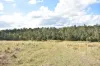 342 Mungar Road, Yengarie, Qld 4650-Image