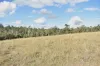342 Mungar Road, Yengarie, Qld 4650-Image