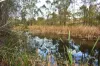 342 Mungar Road, Yengarie, Qld 4650-Image