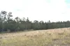 342 Mungar Road, Yengarie, Qld 4650-Image