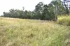 342 Mungar Road, Yengarie, Qld 4650-Image