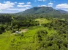 345 Blue Knob Road, Nimbin, NSW 2480-Image