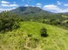 345 Blue Knob Road, Nimbin, NSW 2480-Image
