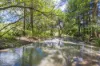 345 Blue Knob Road, Nimbin, NSW 2480-Image
