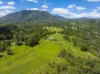 345 Blue Knob Road, Nimbin, NSW 2480-Image