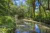 345 Blue Knob Road, Nimbin, NSW 2480-Image
