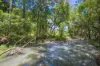 345 Blue Knob Road, Nimbin, NSW 2480-Image