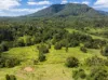 345 Blue Knob Road, Nimbin, NSW 2480-Image