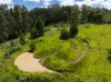 345 Blue Knob Road, Nimbin, NSW 2480-Image