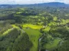 345 Blue Knob Road, Nimbin, NSW 2480-Image