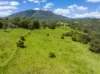 345 Blue Knob Road, Nimbin, NSW 2480-Image
