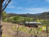345 Springhill Bottom Road, Colebrook, Tas 7027-Image