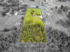 346 Deepfields Road, Catherine Field, NSW 2557-Image