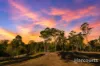 347 Berries Road, Kullogum, Qld 4660