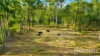 347 Berries Road, Kullogum, Qld 4660-Image