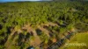 347 Berries Road, Kullogum, Qld 4660-Image