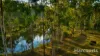 347 Berries Road, Kullogum, Qld 4660-Image