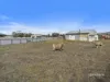 35 Alexander Circle, Campania, Tas 7026-Image