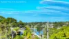 35 Algernon Street, Oatley, NSW 2223-Image