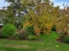 35 Davies Avenue, Springwood, NSW 2777-Image