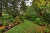 35 Davies Avenue, Springwood, NSW 2777-Image