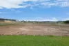 35 Greenling Drive, Chisholm, NSW 2322-Image