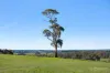 35 Holts Road, Elliminyt, Vic 3250-Image