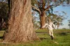 35 Holts Road, Elliminyt, Vic 3250-Image