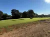 35 Lakes Drive, Lake Eacham, Qld 4884-Image