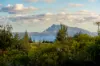 35 Middlegate Road, Norfolk Island, NSW 2899