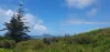 35 Middlegate Road, Norfolk Island, NSW 2899-Image