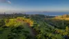 35 Middlegate Road, Norfolk Island, NSW 2899-Image