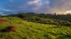 35 Middlegate Road, Norfolk Island, NSW 2899-Image