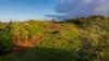 35 Middlegate Road, Norfolk Island, NSW 2899-Image
