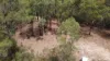 350 Moores Road, Laguna, NSW 2325-Image