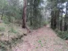 350 Moores Road, Laguna, NSW 2325-Image