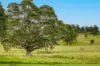 36-62 Windarra Place, Kyogle, NSW 2474-Image