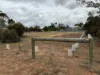 36 Alexander Avenue, Berriwillock, Vic 3531-Image