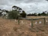 36 Alexander Avenue, Berriwillock, Vic 3531-Image