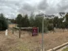 36 Alexander Avenue, Berriwillock, Vic 3531-Image