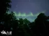 36 Cliffords Road, Gordon, Tas 7150-Image