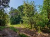 36 Hall Road, Foster, Vic 3960-Image
