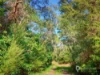 36 Hall Road, Foster, Vic 3960-Image