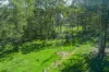 36 Kamrock Grove, Wilberforce, NSW 2756-Image