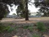 36 Lascelles St, Hopetoun, Vic 3396-Image