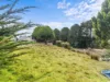 36 Main Street, Waratah, Tas 7321-Image