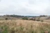 36 Panorama Road, Blackstone Heights, Tas 7250-Image